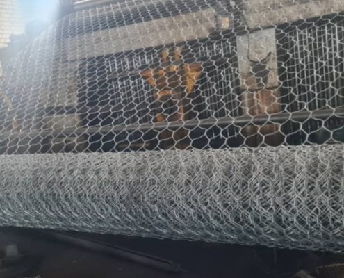 تولید توری گابیون